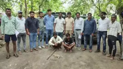 छबड़ा: छबड़ा वन विभाग ने की कार्रवाई, शिकारियों से एक जिंदा पाटागोह बरामद कर किया गिरफ्तार