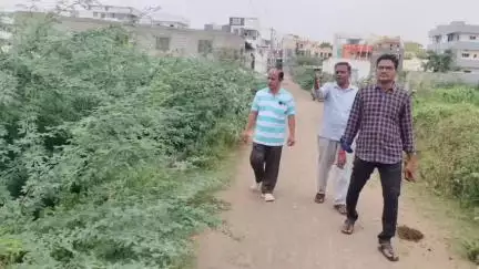 కనిగిరి: కనిగిరి పట్టణంలోని పలు వార్డులలో పిచ్చి మొక్కలను తొలగించిన మున్సిపల్ అధికారులు,  హర్షం వ్యక్తం చేస్తున్న ప్రజలు
