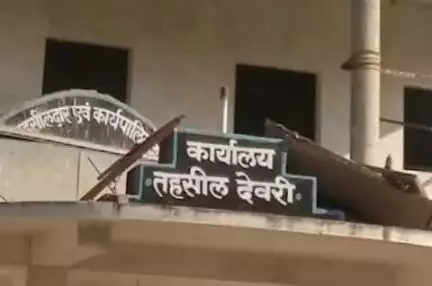 देवरी: देवरी तहसील में 2500 किसानों के मूंग पंजीयन का कार्य संपन्न