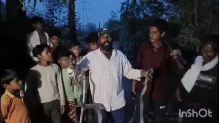 मैहर: घुनवारा गांव में सर्प मित्र ने घोड़ा पछाड़ सांप पकड़कर सुरक्षित जंगल में छोड़ा