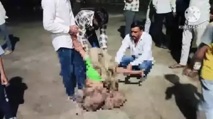 खनियाधाना: बामोर कला में जमीनी विवाद में दो पक्षों के बीच खूनी संघर्ष, एक की मौत