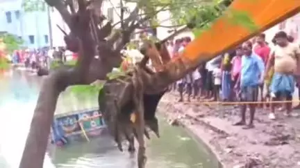 খড়গ্রাম: মারগ্রামে নিয়ন্ত্রণ হারিয়ে ডাস্ট বোঝাই ট্রাক্টর উল্টে গেল পুকুরে, অল্পের জন্য প্রাণে রক্ষা পেল ৫