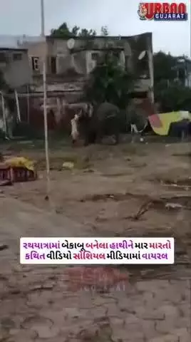 આવી રીતે અબોલ જીવો ઉપર અત્યાચારો કેટલા યોગ્ય છે.....???