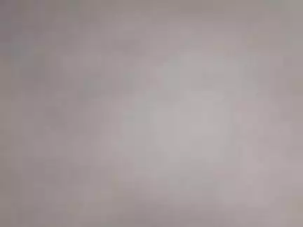 Tikari ke shatrughn Sharan Colony Mein kutton ke dwara Char log Ghayal Kiya Gaya