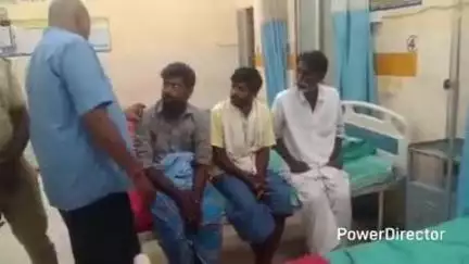 ಕೊಳ್ಳೇಗಾಲ: ಮೀಣ್ಯಂ ಹುಲಿ ಸಾವು ಪ್ರಕರಣ; ಮೂವರು ಹುಲಿ ಹಂತಕರಿಗೆ ನ್ಯಾಯಾಂಗ ಬಂಧನ