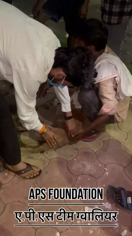 कुत्ते के साथ दुर्घटना होने के बाद भाग गया 🙏🏻

Respect Girls help poor help animals 

#apsgurjar #help #viral #support #dog