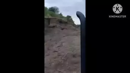 आर्वी: तालुक्यातील सायखेडा वडगाव परिसरात दोन वाघाचा मुक्त संचार..वाघाचे डरकाळीने परिसरात दशतीचे वातावरण बंदोबस्त करण्याची मागणी