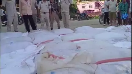 শিলচর: কালাইন এলাকা থেকে ৫০ লক্ষাধিক টাকা মূল্যের পোস্ত বাজেয়াপ্ত করে পুলিশ,গ্রেফতার-১