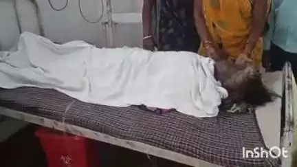 भभुआ: मदुरनी गांव में जहरीले सांप के काटने से एक महिला की इलाज के दौरान हुई मौत