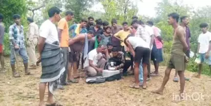 पाली: ग्राम पाली के जंगल में पहुंचा लोनर हाथी, ग्रामीणों को किया गया सतर्क