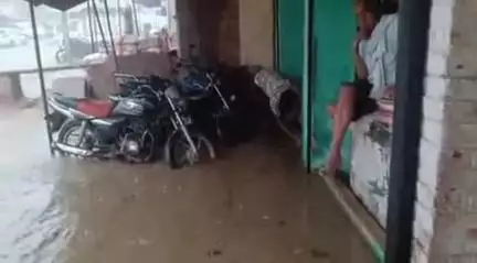 सेवढ़ा: सेवड़ा नगर: बारिश से घरों-दुकानों में पानी, 11 केवी की विद्युत लाइन पेड़ से टकराई, पक्षियों की मौत से लोगों में आक्रोश