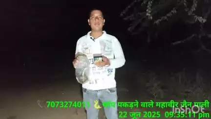 22 जून 2025 को पाली के सुंदर नगर स्थित मुकेश जी मेवाड़ा के यहां सांप महावीर जैन ने पकड़ा 

पाली के सुंदर नगर के रजत