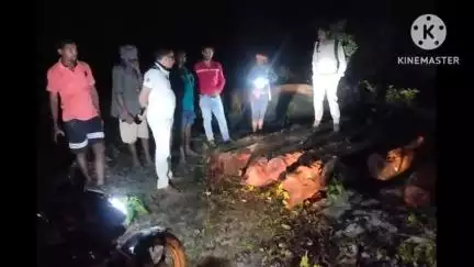 पोड़ी उपरोड़ा: गुरसिया बीट के रावणभांठा जंगल में पेड़ों की अवैध कटाई का खुलासा, तस्करी से पहले सरपंच व ग्रामीणों ने रोकी साजिश