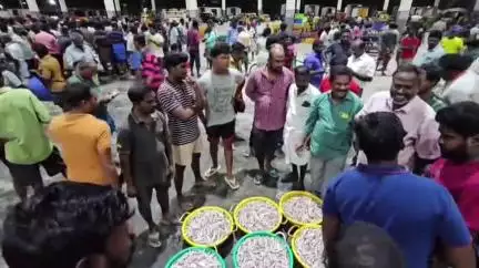 தூத்துக்குடி: ரூ.3 கோடிக்கு மீன்கள் விற்பனை மீன் பிடி துறைமுகத்தில் மீன்களின் வரத்து அதிகம்