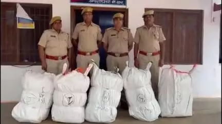 बड़ी सादड़ी: निकुंभ में जिला विशेष टीम और निकुंभ थाना पुलिस ने अवैध चंदन की लकड़ी की कार्रवाई में की ज़ब्ती