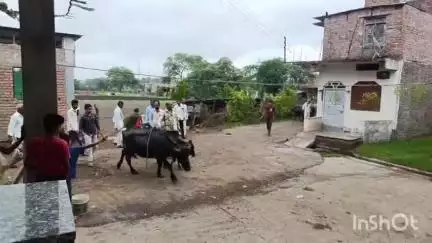 मल्हारगढ़: पिपलिया पंथ में खेड़ा देवता की पूजा अर्चना की गई, पशुओं के निरोग रहने और गांव में सुख समृद्धि की कामना की