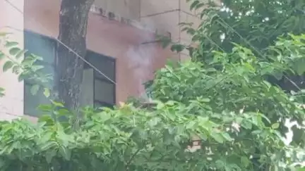 मऊ: जिला अस्पताल में हाईटेंशन तार के शार्ट होने से पेड़ में लगी आग, मची अफरा-तफरी