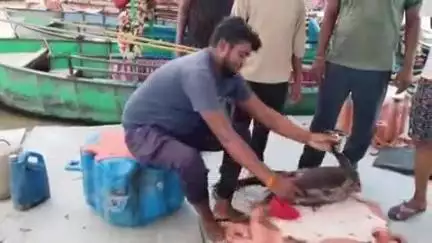अयोध्या सरयु नदी के किनारे जल पुलिस ने राष्ट्रीय पक्षी मोर की बचाई जान