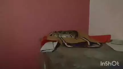 कोरबा: कमरे के अंदर कूलर के ऊपर बैठा था भरी भरकम अजगर, लाइट न होने के कारण मोबाइल के टॉर्च से किया गया जोखिम भरा रेस्क्यू