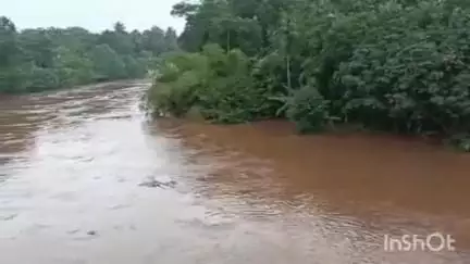 കോഴഞ്ചേരി: ജില്ലയിൽ മണിമല നദിയിൽ ഓറഞ്ച് അലർട്ടും അച്ചൻകോവിൽ നദിയിൽ മഞ്ഞ അലർട്ടും ,തീരത്തുളളവർ ജാഗ്രത പാലിക്കണം