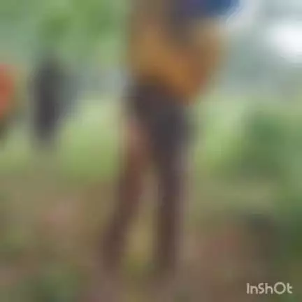 करतला: पेड़ पर लटकते हुए मिली युवक की लाश, हाथ बंधे मिले रस्सी से, हत्या की आशंका, करतला पुलिस की जांच जारी