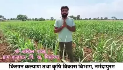 बनखेड़ी: सफलता की कहानी: कन्हनबार के किसान ने गन्ना उत्पादन में नवाचार से आय बढ़ाई!