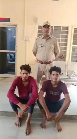 अलवर: सदर पुलिस ने ऑनलाइन ठगी करने वाले दो भाइयों को किया गिरफ्तार, एडिट अश्लील क्लिप वायरल करने की धमकी देकर करते थे ठगी