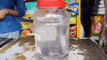 लाडपुरा: गोबरिया बावड़ी चोराहे पर किराने की दुकान में घुसा कोबरा सांप, व्यापारी दहशत में आया और किया रेस्क्यू