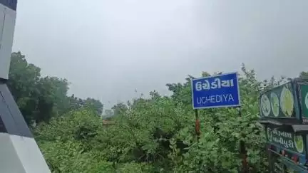ઝઘડિયા: ઉચેડિયા ગામે ખાડી પર પુલ બનવાની માંગ પંચાયતના સરપંચ અને ગામના આગેવાનો દ્વારા માંગ કરાઈ.#jansamasya