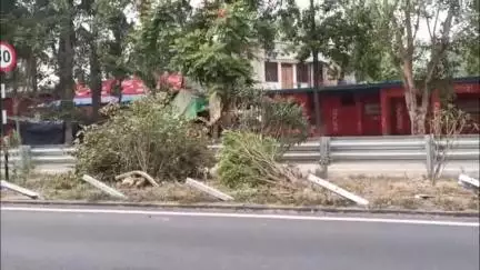 नवाबगंज: प्यारेपुर सरैया गांव के निकट अनियंत्रित पिकअप डिवाइडर से टकराई, ड्राइवर हुआ चोटिल