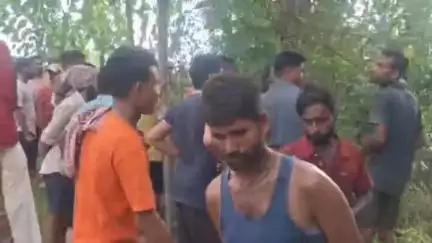 अमरिया: तहसील अमरिया के रानी कॉलोनी में दिखी बाघिन, मौके पर पहुंची वन विभाग की टीम