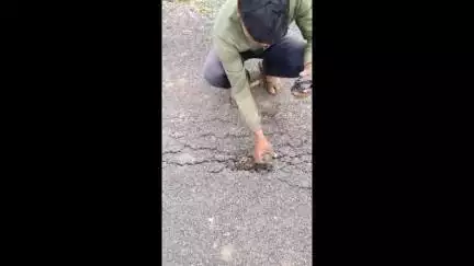 कन्नड: टाकळी ते जवळी रस्त्याचे निकृष्ट काम, ग्रामस्थांनी हाताने रस्ता उखडून दाखवला, व्हिडिओ व्हायरल