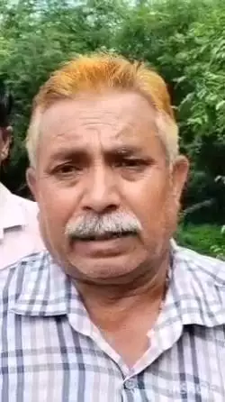 अलवर: अलवर के नौगांव के रूपवास नसवाड़ा में नीलगाय के शिकार का सनसनीखेज मामला सामने आया