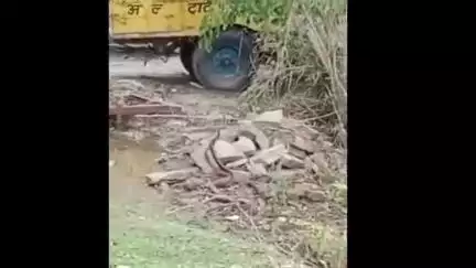 ललितपुर: बिरधा क्षेत्र के अंतर्गत स्थानीय कस्बे में साथ-साथ नाचते दिखे नाग-नागिन