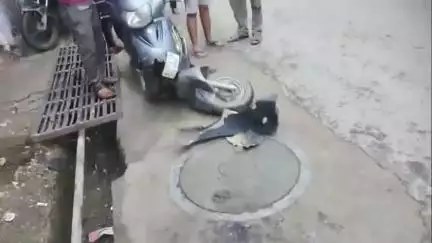 हमीरपुर: दोसडका में स्कूटी और अर्टिगा गाड़ी के बीच हुई जोरदार टक्कर, हादसे में स्कूटी सवार को आई चोटें