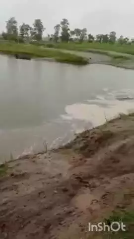 पलिया: चैनलाईजेशन से पहले ही शारदा नदी उफान पर, अतरिया रेलवे ट्रैक बना दरिया, 22 करोड़ की योजना पानी में बही