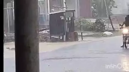 नानपारा: नवाबगंज क्षेत्र में मानसून की पहली बारिश से किसानों को मिली राहत, तराई क्षेत्र में धान की रोपाई के लिए मिला पानी