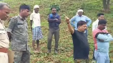 शहपुरा: कनेरी गांव के दौरी नाला किनारे मिला मानव कंकाल, क्षेत्र में फैली सनसनी, शहपुरा पुलिस कर रही जांच