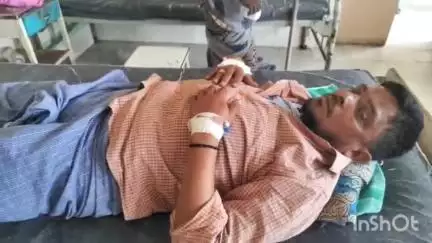 ఆదోని: స్నేక్ క్యాచర్ దివాన్ష పాము కాటుకు గురయ్యాడు