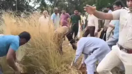 কালনা ১: আটঘরিয়া সিমলন পঞ্চায়েতের চাঁদের বিল এলাকায় জঙ্গল সাফাই এর কাজে নিজেই কোমর বেঁধে নামলেন মন্ত্রী, SDO-রা