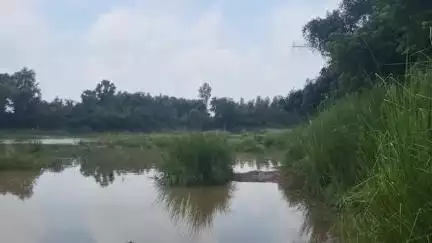 রামপুরহাট ২: মাড়গ্রামের দ্বারকা নদীতে জলস্তর বাড়ায় ফের ভেসে গেলো বাঁশের তৈরী অস্থায়ী সেতু, চালু হলো নৌকা