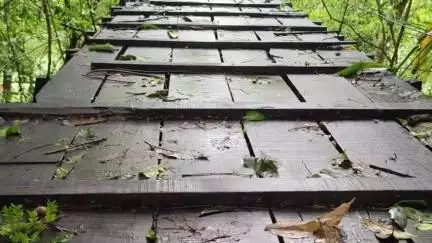 കണ്ണൂർ: കാര്യംങ്കോട് പുഴക്ക് കുറുകെ നിർമ്മിച്ച കോലുവള്ളി കമ്പിപ്പാലം തകർച്ചയിൽ, പ്രദേശവാസികളുടെ യാത്ര ഭീതിയിൽ #localissue