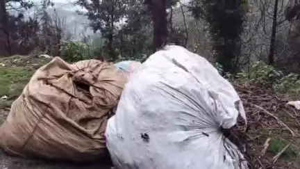 पौड़ी: घंटाधार से घोड़ीखाल तक वन क्षेत्र में कूड़ा फेंकने पर ग्रामीणों ने जताया आक्रोश, आंदोलन की दी चेतावनी