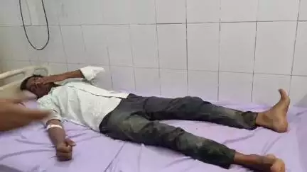 तालबेहट: तालबेहट कस्बे में दुकान के पास बैठे युवक को सर्प ने डसा, हालत गंभीर, परिजनों ने अस्पताल पहुंचाया