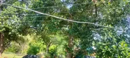 ಹನೂರು: ತಾಲ್ಲೂಕಿನ ಮಹದೇಶ್ವರ ಬೆಟ್ಟದ ಗ್ರಾಮಗಳಲ್ಲಿ ಕಾಡಾನೆಗಳ ಆತಂಕ, ರೈತರಲ್ಲಿ ಆತಂಕ