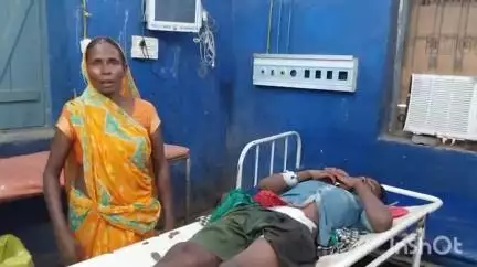 नवादा: भोला नगर में जंगली सूअर ने युवक पर किया हमला, शौच के लिए गए युवक के पेट में गंभीर चोट, पटना रेफर