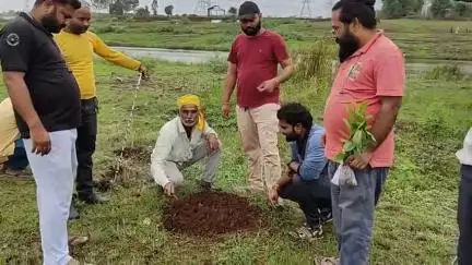 व्यंग्यात्मक तरीके से पौधारोपण का संदेश देते Natute Lover