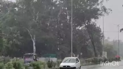 रायसेन: तेज बारिश से किसान खुश, अब मचाएंगे गड़े!