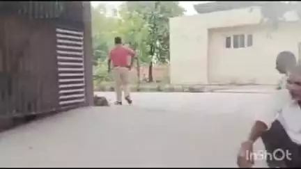 सलेमपुर: सालेपुर लार मार्ग पर मजा बलिया के पास बाइक अनियंत्रित होकर पेड़ से टकराई, एक की मौत