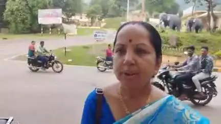 दंतेवाड़ा: राजेंद्र कौर राय बनीं किरंदुल नगर कांग्रेस कमेटी की कार्यकारी अध्यक्ष